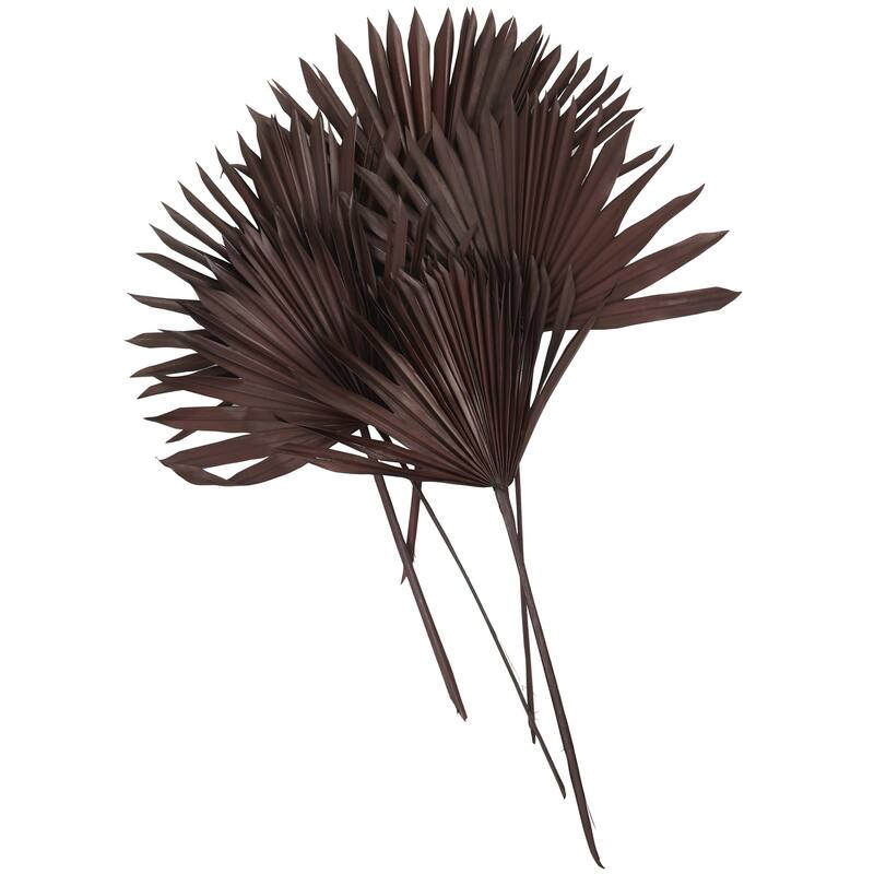 Dried Plant Palm Leaf Handmade Large Sun Spear Leaf Home Decor Natural Foliage - Dark Brown - Roche River Decor - Dark Brown