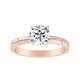 Option Rose
