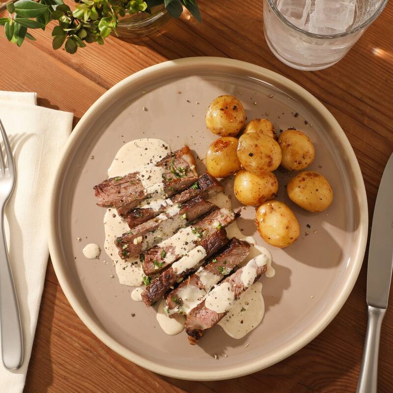 Gibson Elite - Made in Portugal - Port Gaia 10.2 Inch Dinner Plates Set of 4 - Reactive Glaze Dish Set