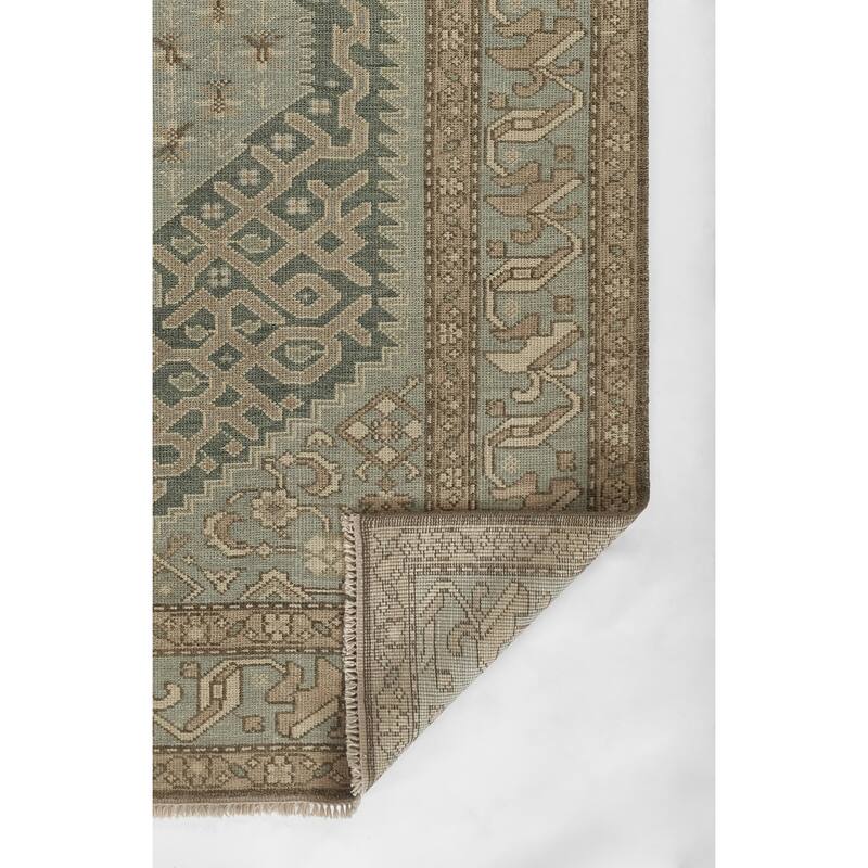 Momeni Nomad Traditional Hand Knotted Wool Area Rug