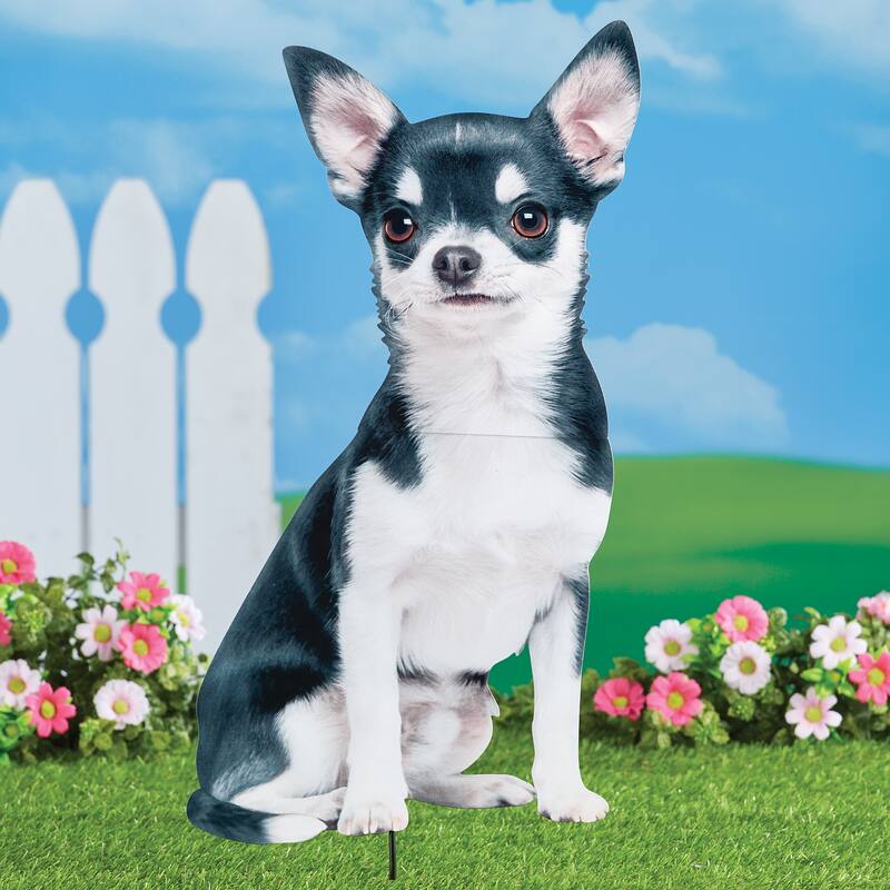 Realistic Chihuahua Outdoor Garden Stake - 12.5 x 29 x 1 - White - 12.5 x 29 x 1 - Metal