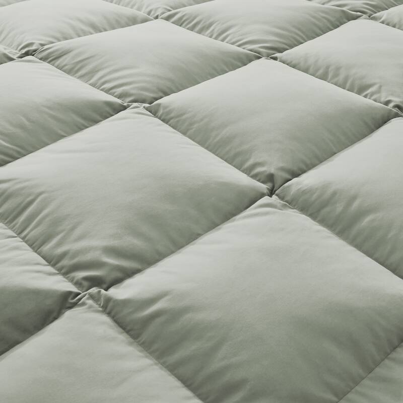 Year-round & Lightweight White Goose Down Duvet Insert Comforter