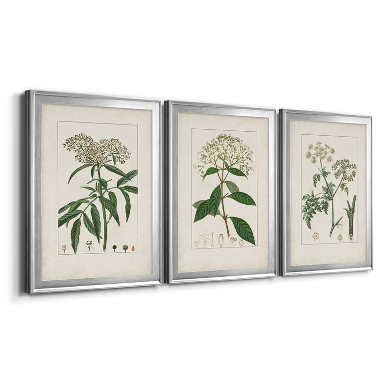 Antique Turpin Botanical VII Premium Framed Canvas - Ready to Hang - Multi-Color