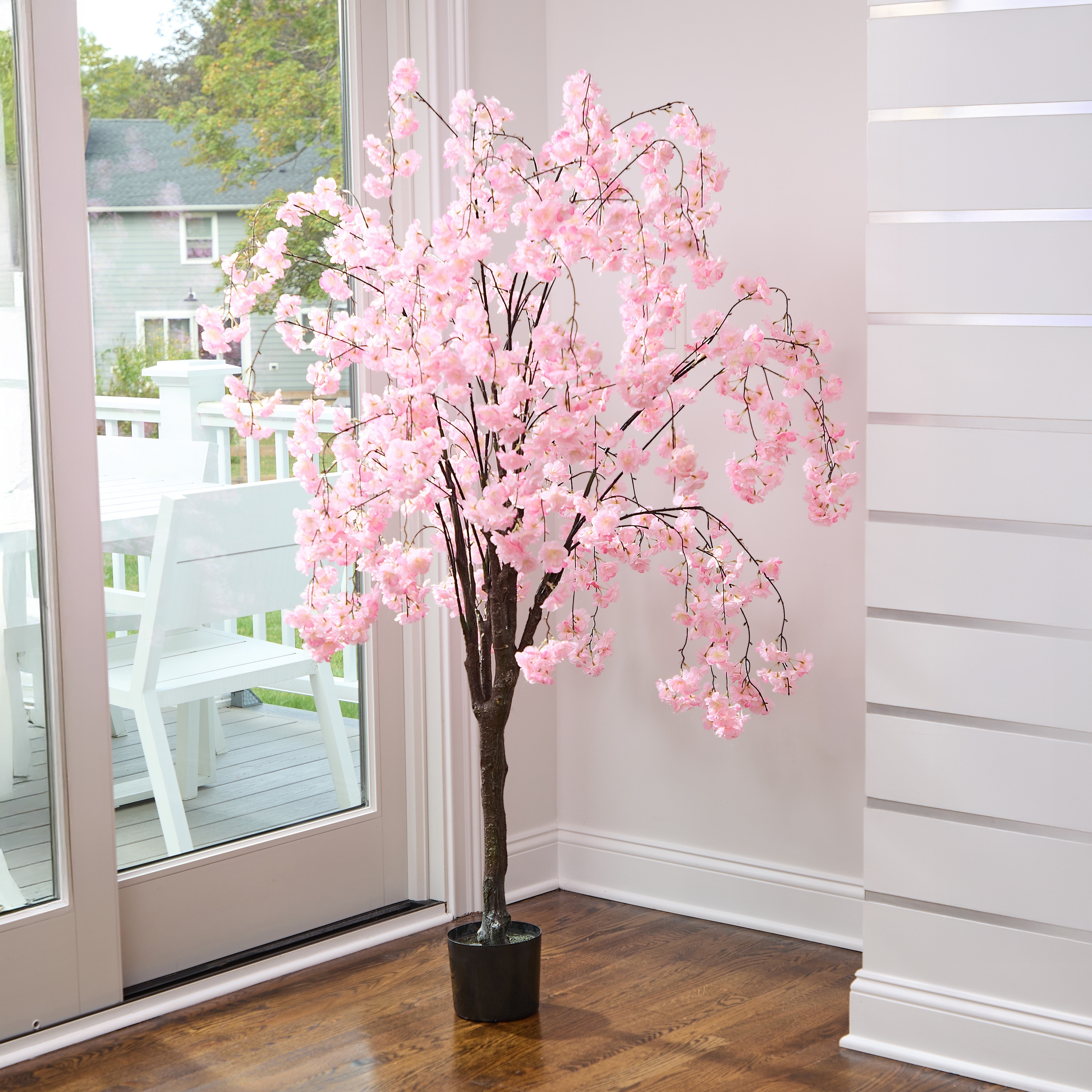6' Weeping Cherry Tree