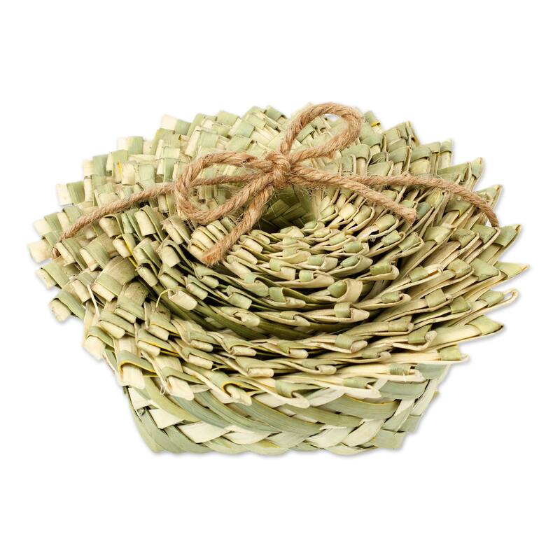 Novica Handmade Convenient Stars Natural Fiber Nesting Baskets (Set Of 10)