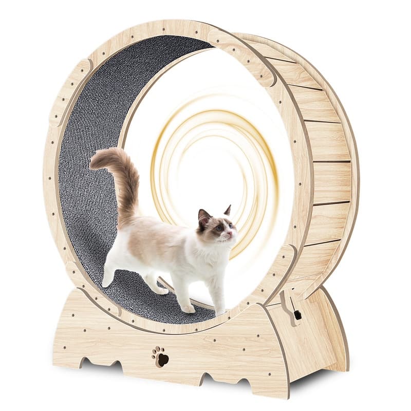 Cat Exercise Wheel,Cat Running Wheel with Carpeted Runway