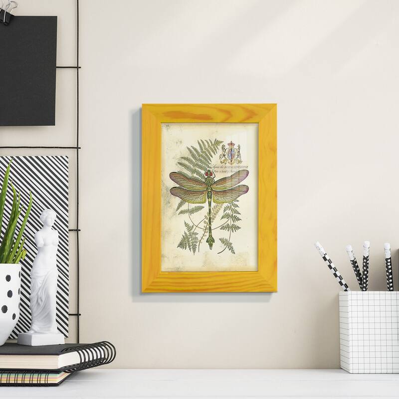 Regal Dragonfly III (PP) -Framed Print w/glass-Cherry Red