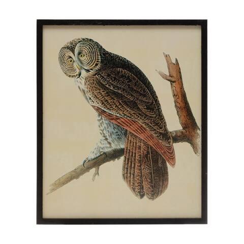 Wood Framed Wall Décor with Vintage Reproduction Owl Image