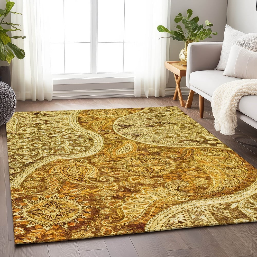Machine Washable Indoor/ Outdoor Modern Paisley Chantille Rug
