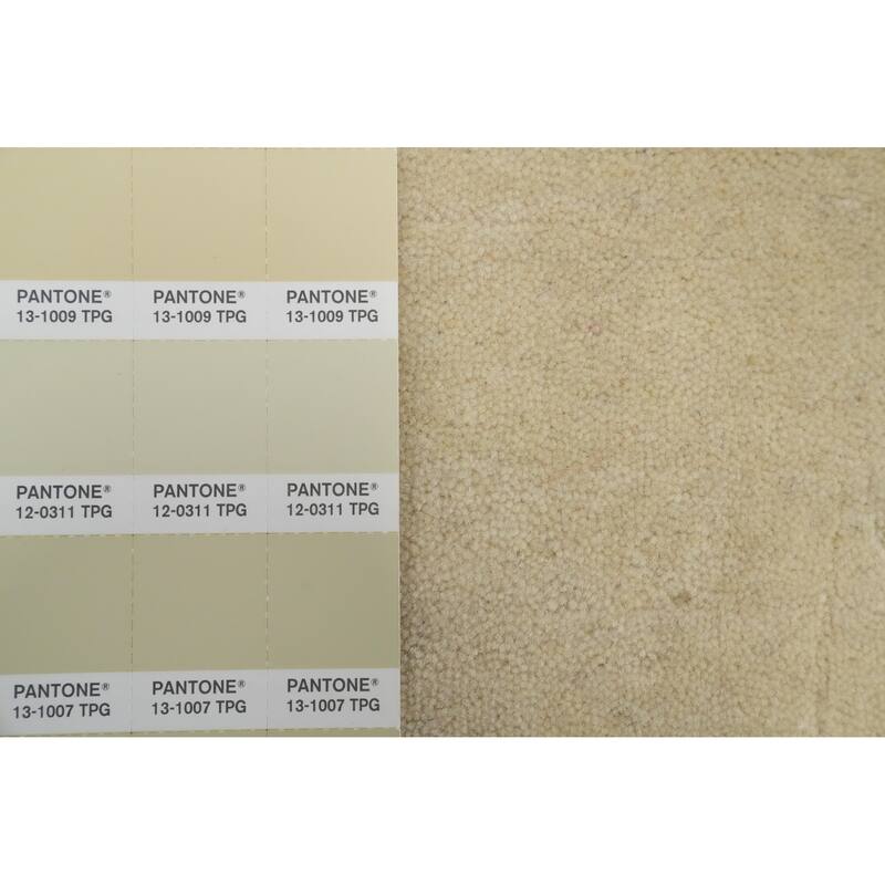Hand Knotted Oriental 100% Wool Carpet Tribal Animal Pictorial Beige & Ivories Gabbeh Area Rug - 4' 5'' X 2' 4''