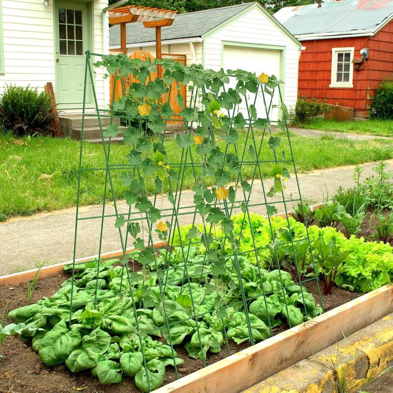 Foldable Cucumber Trellis, Outdoor Garden Trellis for Climbing Plants