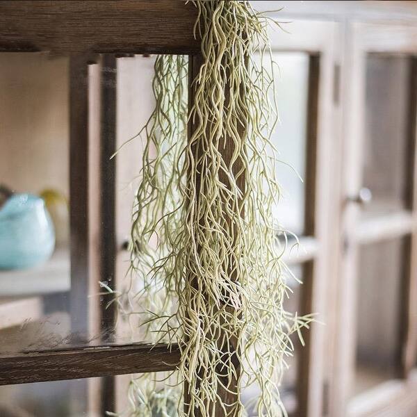 Shop Rusticreach Artificial Spanish Moss Vines 42 Long Overstock 21853259
