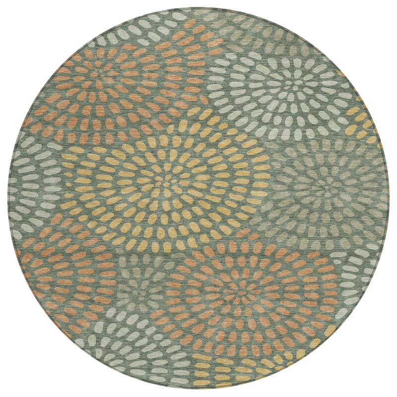 Machine Washable Indoor/ Outdoor Casual Ric Chantille Rug