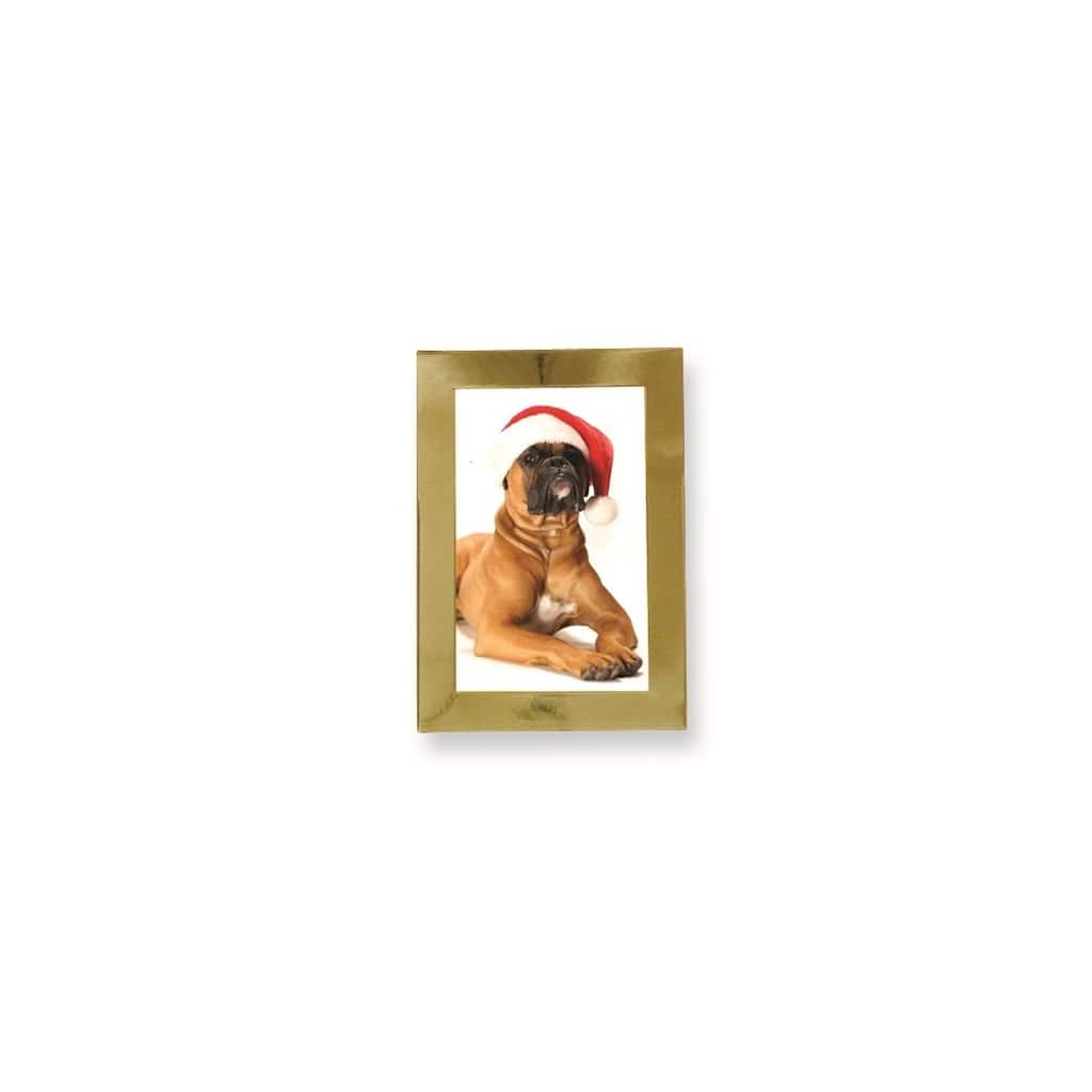 Curata Solid Brass Polished Lacquer-Coated 5x7 Photo Frame