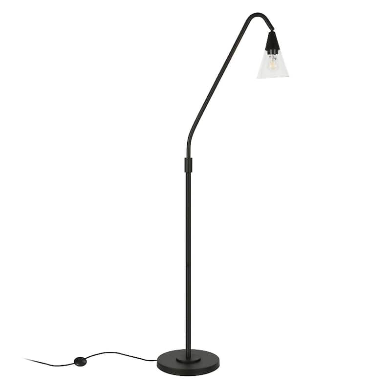 65” Tall Modern Clear Glass Shade Floor Lamp with Dome Shade and Metal Base Plug-In for Living Room - 65" H x 12" W x 29" D