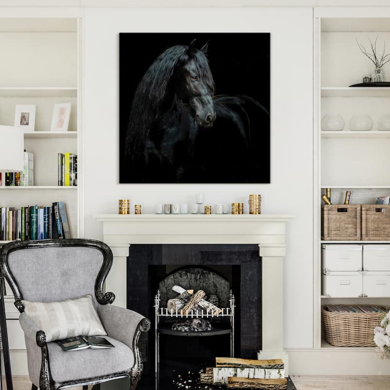 "Black Equine Attraction" Frameless Free Floating Tempered Glass Panel Graphic Wall Art