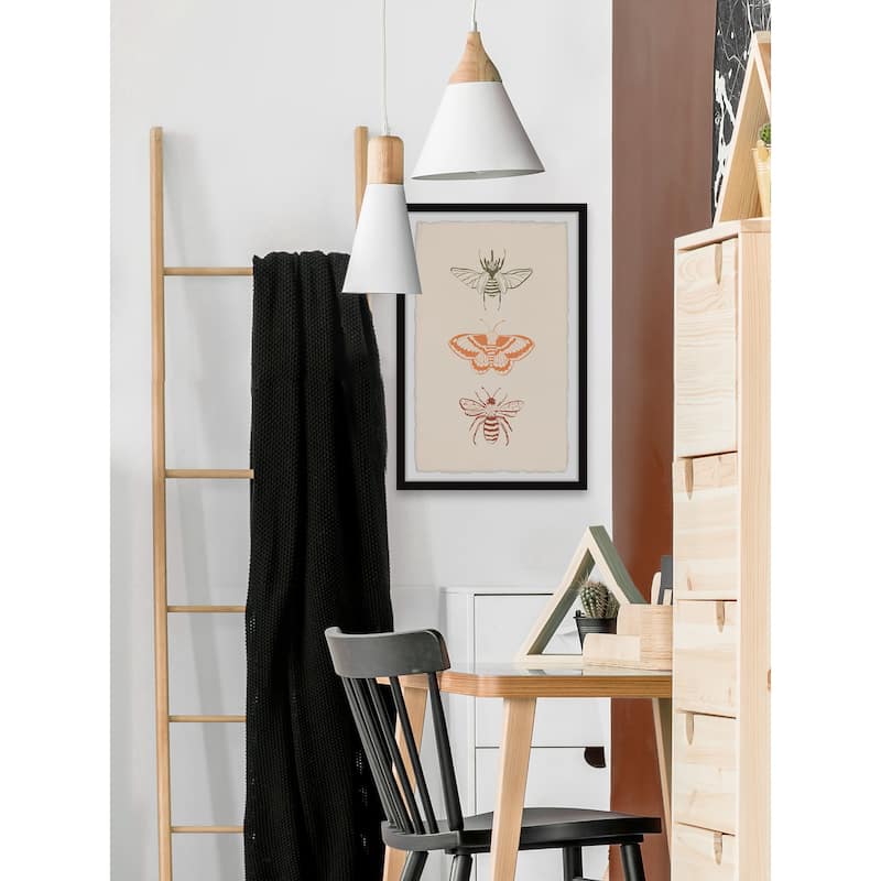 'Assorted Moths' Framed Painting Print