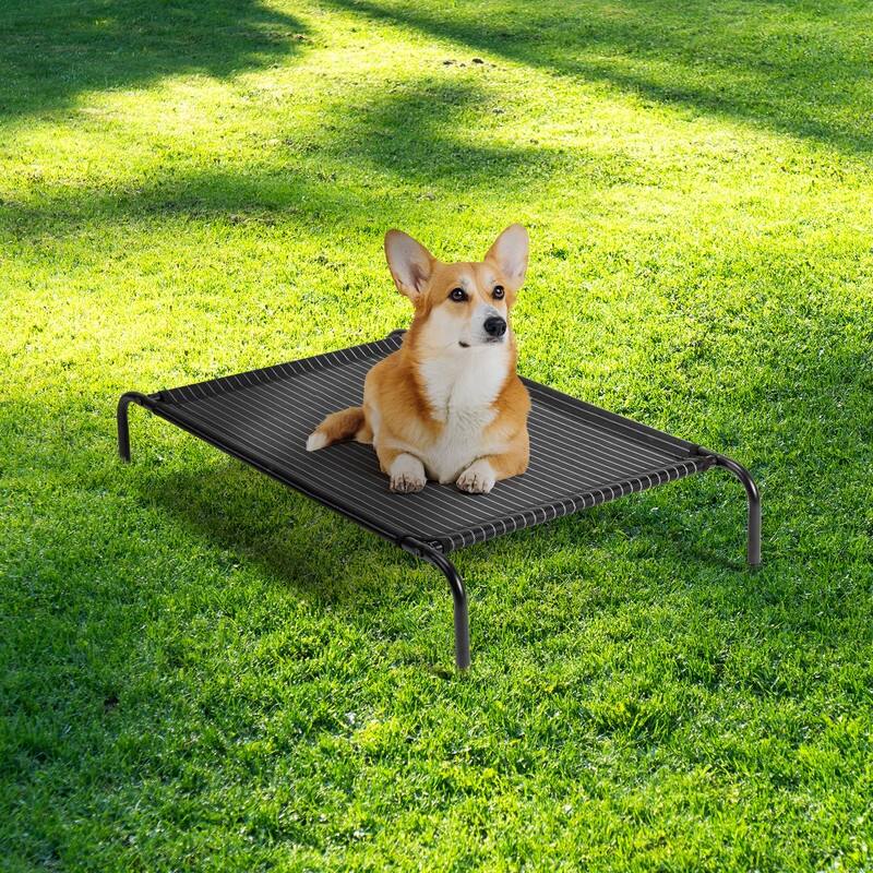 43 in. x 26 in. Iron Frame Mesh Top Outdoor Dog Cot - 43 in. x 16 in. x 8 in.
