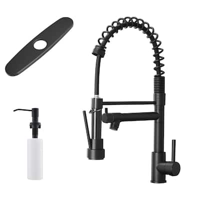 Kitchen Faucet with Pull Down Sprayer Single Handle