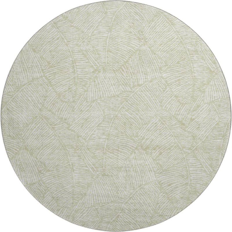 Premium Washable Super Soft Palm Beach Mayfield Rug