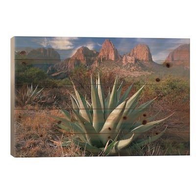 Chisos Agave And The Chisos Mountains, Big Bend National Park, Texas II Print On Wood by Tim Fitzharris - Multi-Color