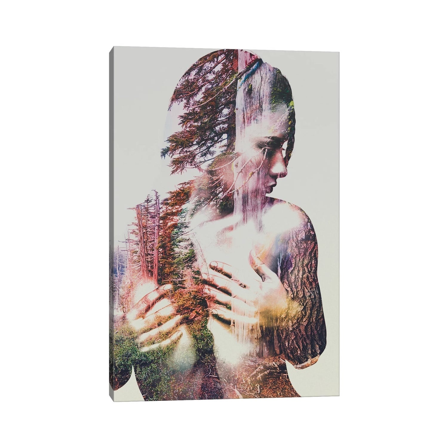 iCanvas "Wilderness Heart III" by Andreas Lie Canvas Print
