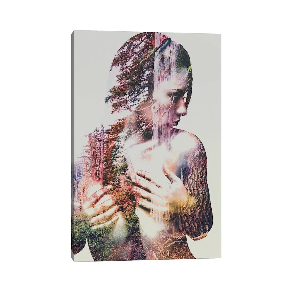 iCanvas "Wilderness Heart III" by Andreas Lie Canvas Print