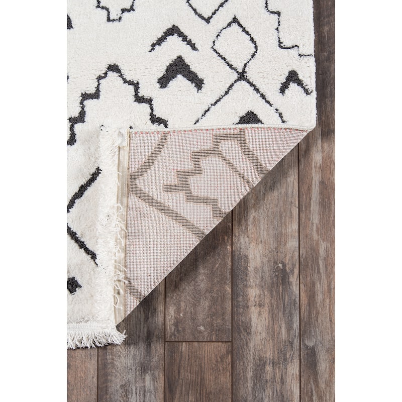 Momeni Monaco Polyester Blend Moroccan Area Rug