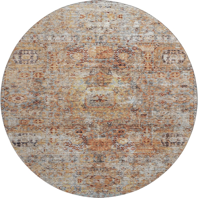 Premium Washable Super Soft Vintage Persian Mayfield Rug