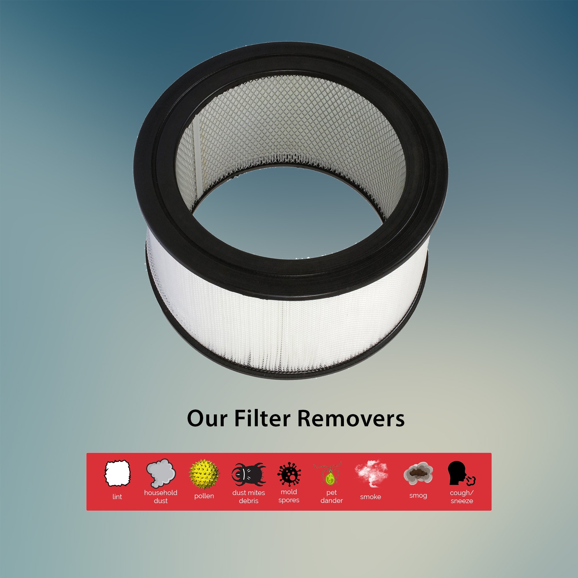 Hepa Filter Honeywell 50250