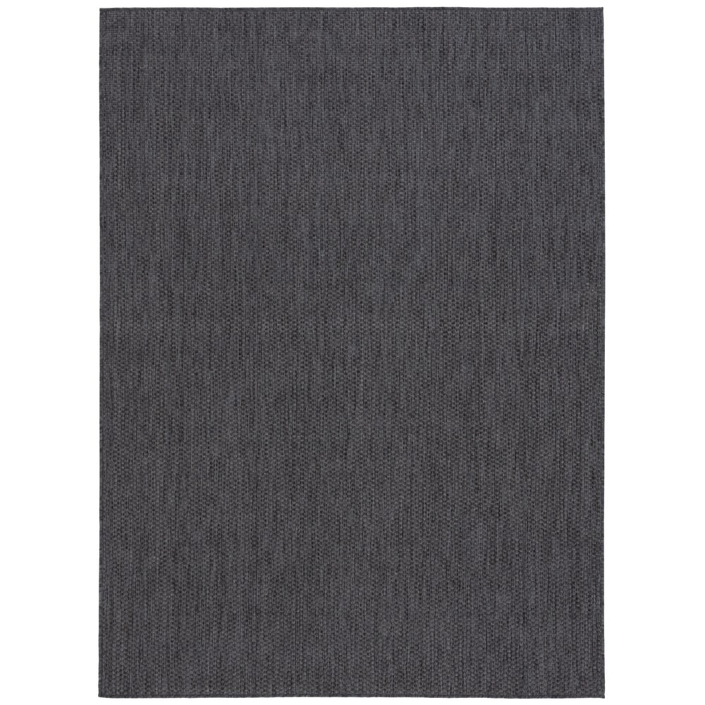 SAFAVIEH Beach House Aenne Transitional Indoor/Outdoor Rug