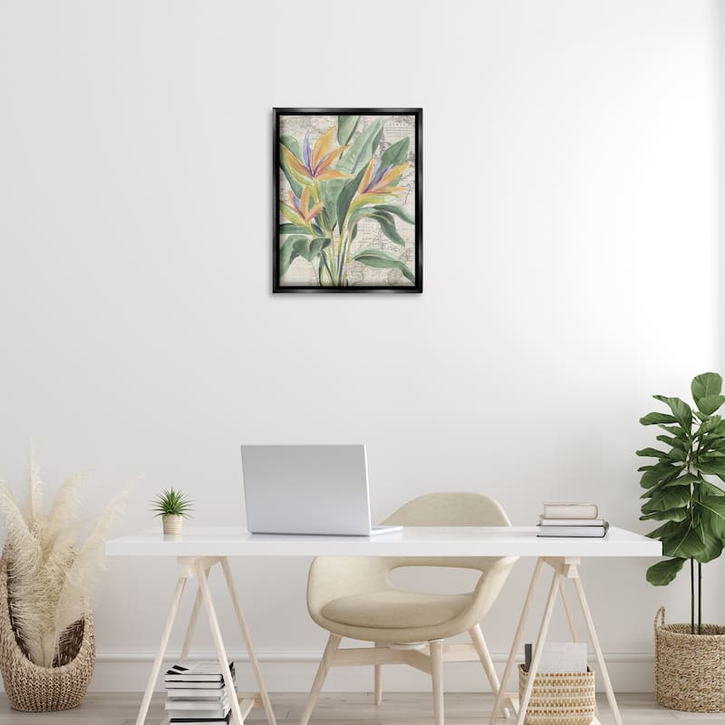 Stupell Bird of Paradise over Map Framed Floater Canvas Wall Art Design By June Erica Vess