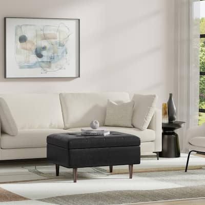 Shay Mid Century Small Coffee Table Storage Ottoman