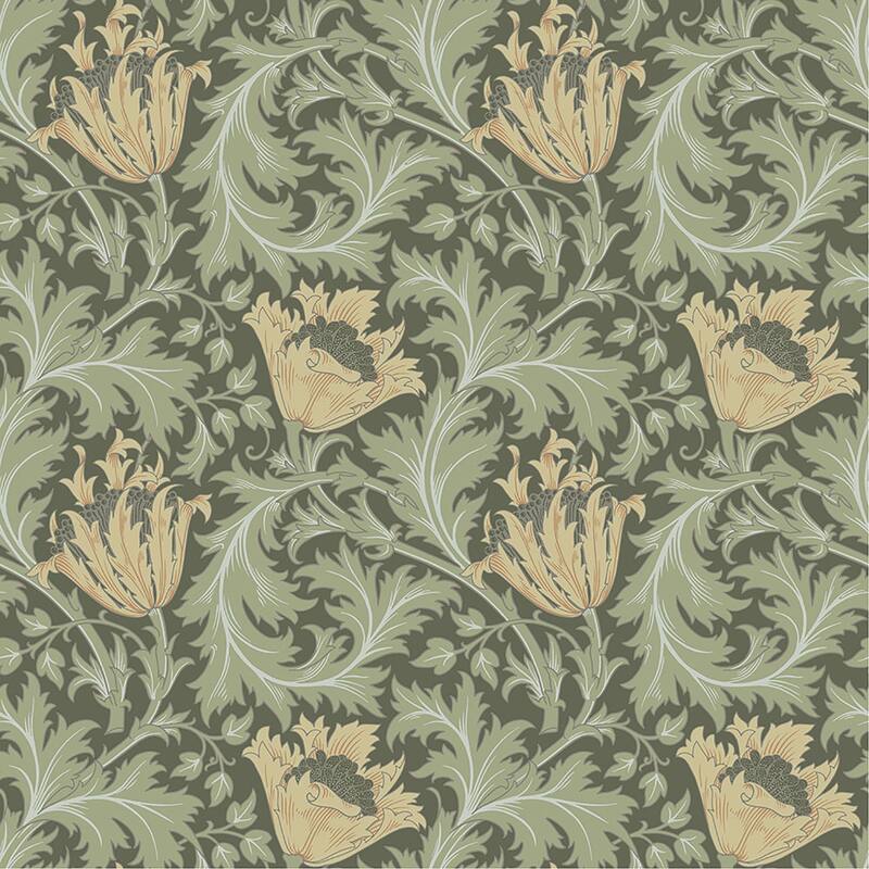 A-Street Prints Anemone Moss Floral Trail Wallpaper