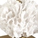 preview thumbnail 6 of 4, Uttermost Caronia Coral Buffet Lamp