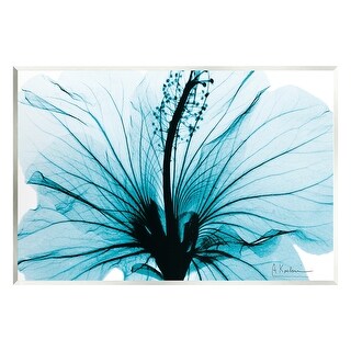 Stupell Blue Flower X-Ray Wall Plaque Art Design by Albert Koetsier ...