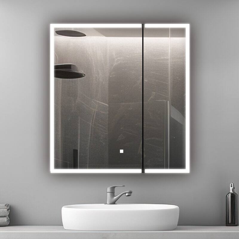 AQUADOM Edge Royale Bathroom Led Lighted Medicine Cabinet Defogger, 3X LED Adjustable Magnifying Mirror, Electrical Outlets.