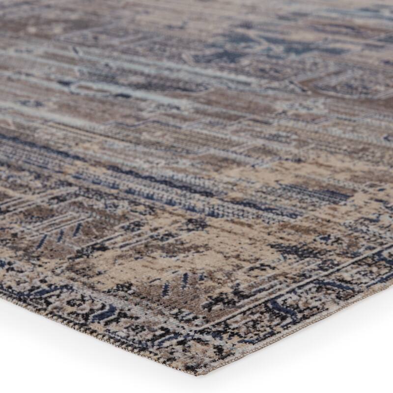 Cicero Indoor and Outdoor Medallion Area Rug
