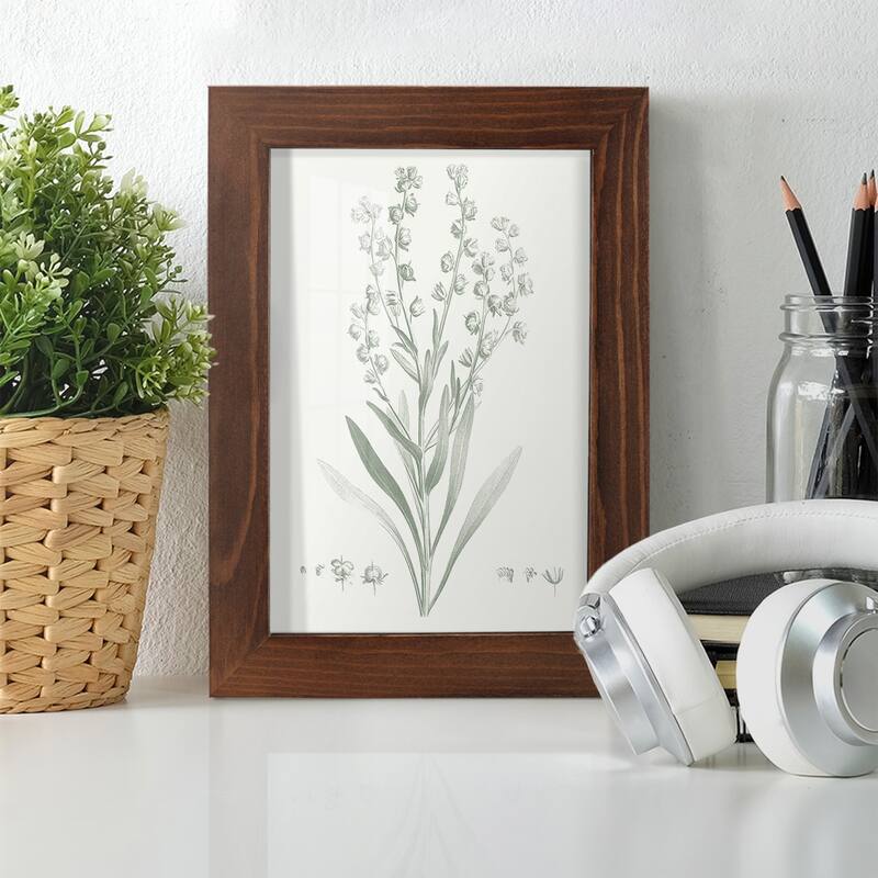 Botanical Study in Sage I -Framed Print w/glass-Cherry Red