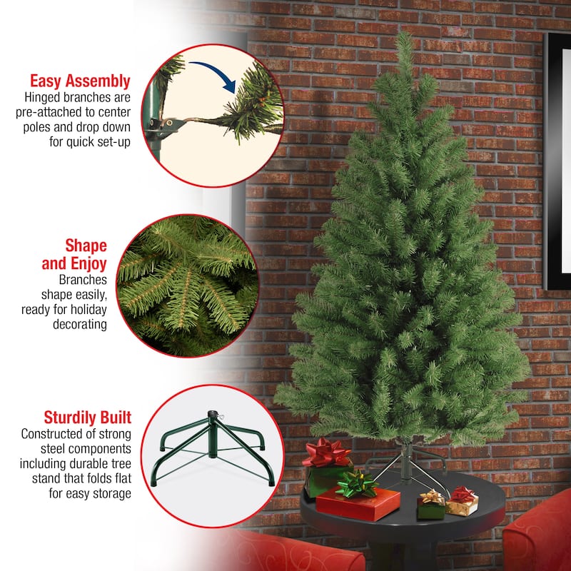 National Tree Company 4 ft. North Valley Spruce Tree - 4 Foot