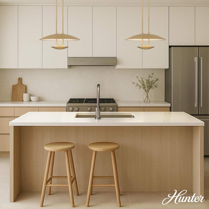 Hunter Sunset Ridge Matte Black Light Large Pendant Ceiling Light Fixture