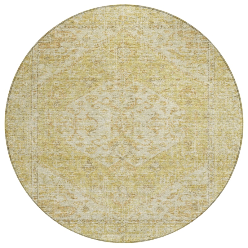 Machine Washable Indoor/ Outdoor Vintage Traditional Chantille Rug
