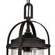 preview thumbnail 4 of 7, Westinghouse Grandview One-Light Outdoor Pendant - 1-Light