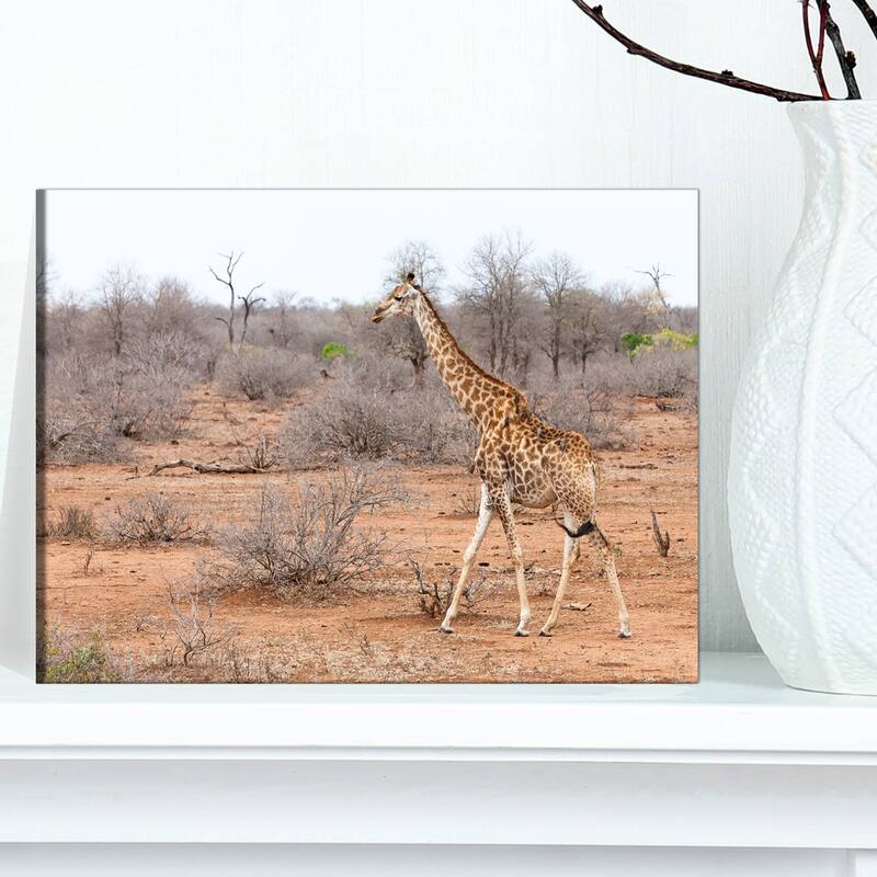 Designart "Giraffe Walking through African Forest" Modern Animal Canvas Wall Artwork Print - 12 in. wide x 8 in. high - 1 Panel