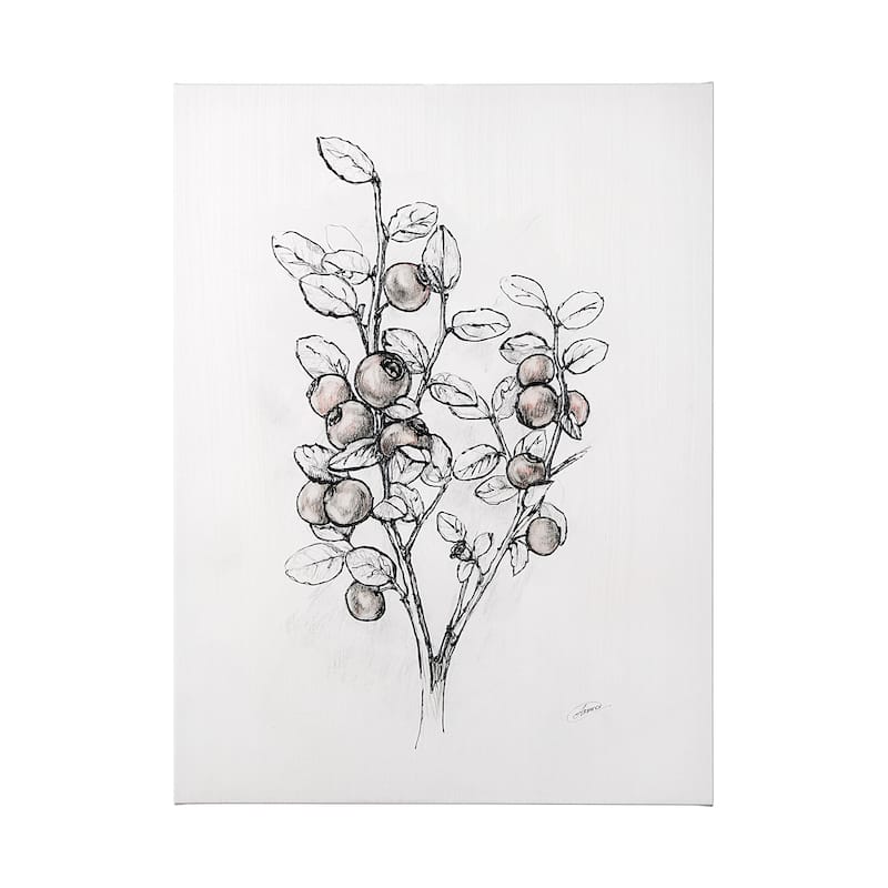 Wildberry Collection Hucklberry (36 x 48) Canvas Art Print - Large