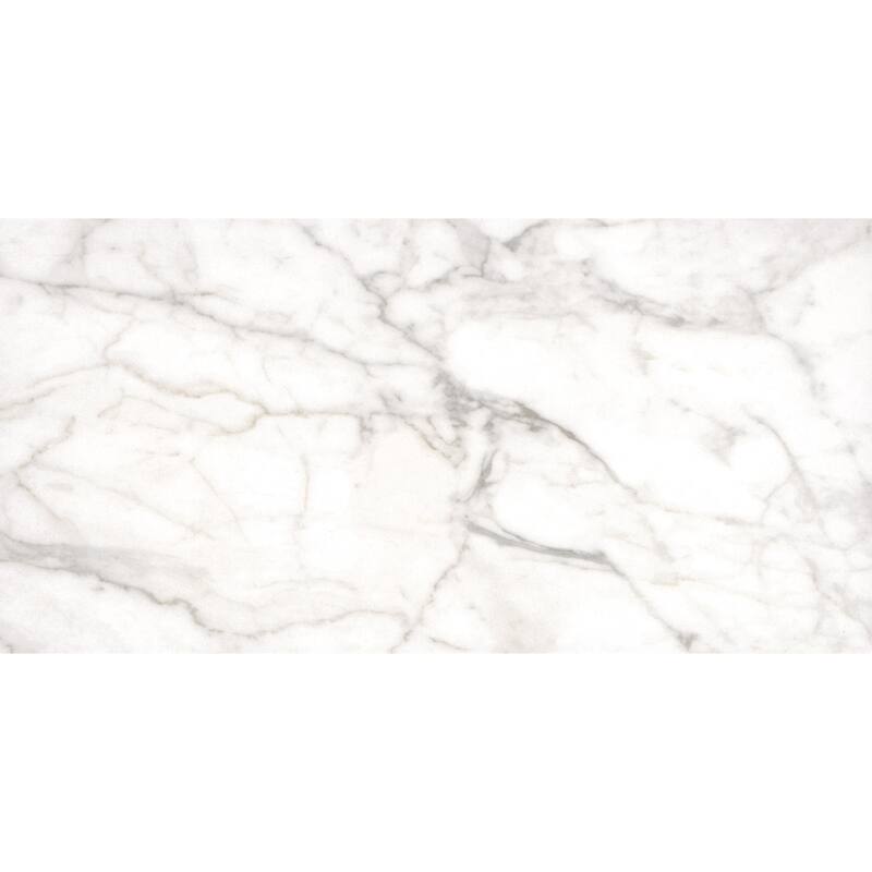 Ackland AKNPTLEG12X24M-PL Legacy - 12" x 24" Ceramic Solid Tile - - Arclina - Arclina