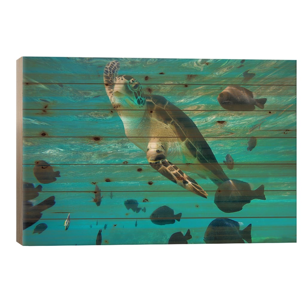 Green Sea Turtle, Balicasag Island, Philippines III Print On Wood by Tim Fitzharris - Multi-Color