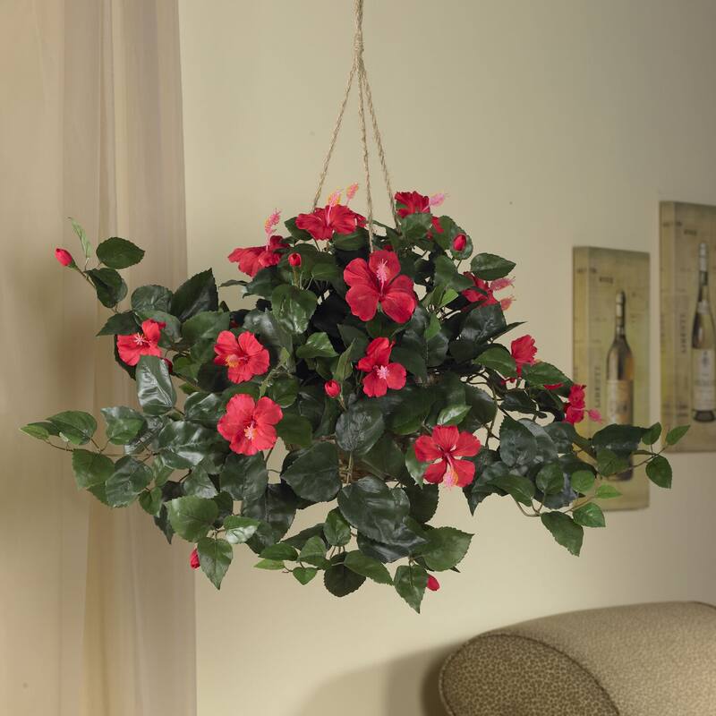 Hibiscus Hanging Basket - Vibrant Flower Display for Home & Office Decor