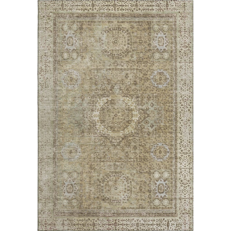 Premium Washable Super Soft Vintage Traditional Mayfield Rug