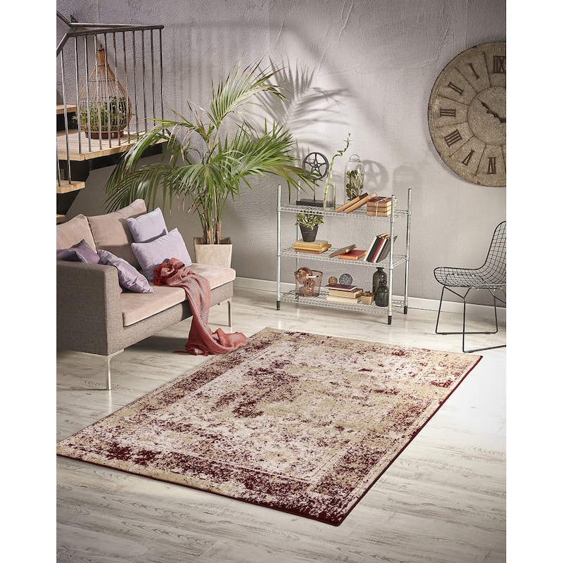 Homeward Collection Area Rug Oriental Rug for Living Room